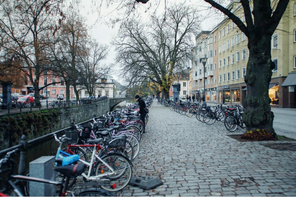 Biking Through Beautiful Cities