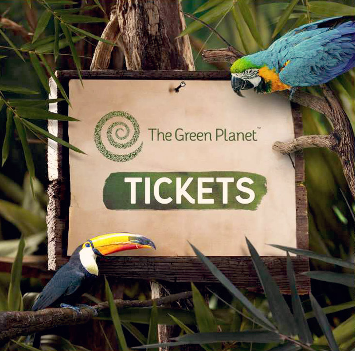 Green Planet Dubai A Perfect Eco-Friendly Attraction for Nature Lovers