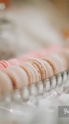 french macarons