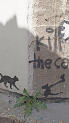 Wall art :( cat and mouse bratislava