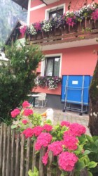 Dainty houses Dainty houses hallstatt