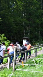 Going up the Salt mines Going up the Salt mines