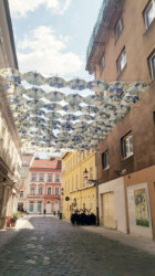 Umbrella Street Umbrella Street